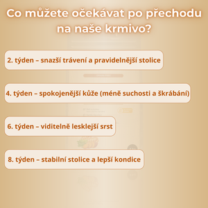 Krůtí s batáty | Hypoalergenní krmivo bez obilovin